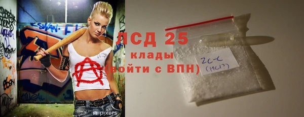 хмурый Алексин