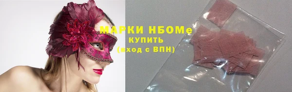 хмурый Алексин