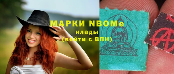 хмурый Алексин