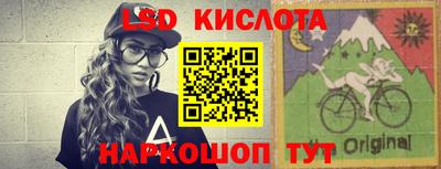 мдпв Камышлов