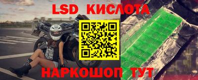мдпв Камышлов