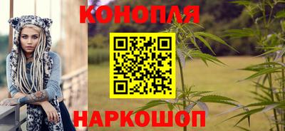 мдпв Камышлов