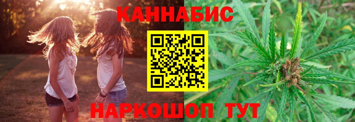 Бошки Шишки тримм  Вход с VPN  Тара  Марихуана марихуана 